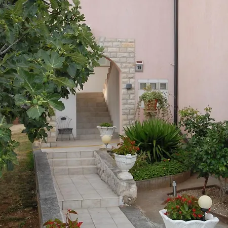 Joki Novi Vinodolski