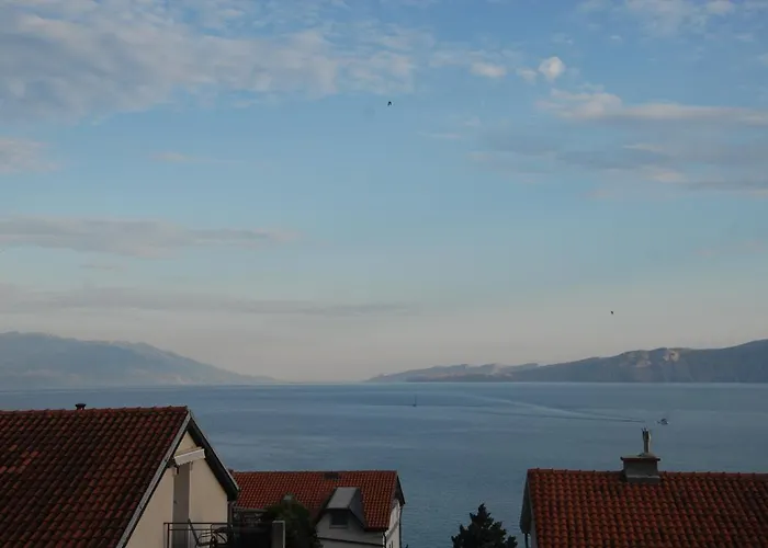 Joki * 诺维·维诺多尔斯基