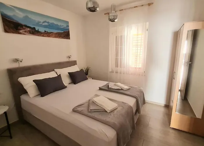 Joki 诺维·维诺多尔斯基