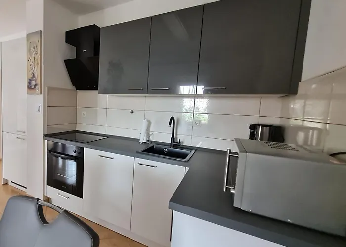 Joki ノヴィ・ヴィノドロスキー